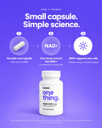 How NILBERI works in three steps: one 500 mg beta-NMN capsule, your body turns it into NAD+, a molecule in every cell